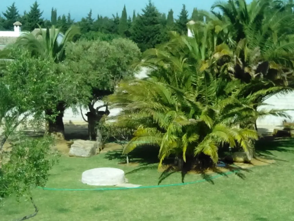 El Olivar De Roche Viejo Holiday home Conil De La Frontera Spain
