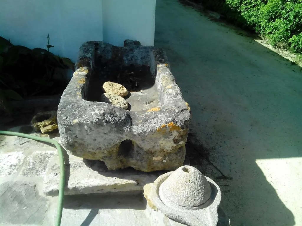 El Olivar De Roche Viejo Holiday home Conil De La Frontera İspanya
