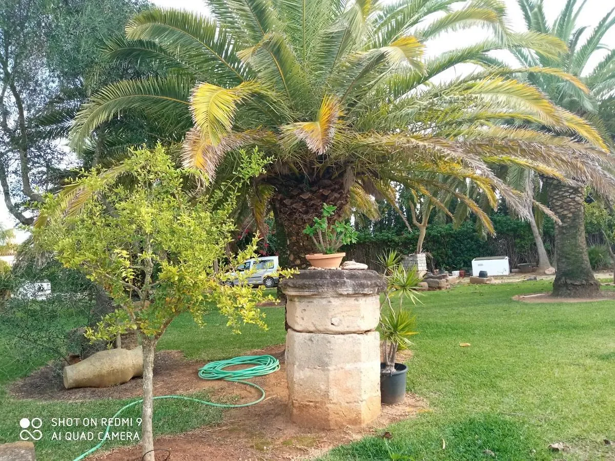 El Olivar De Roche Viejo Holiday home Conil De La Frontera